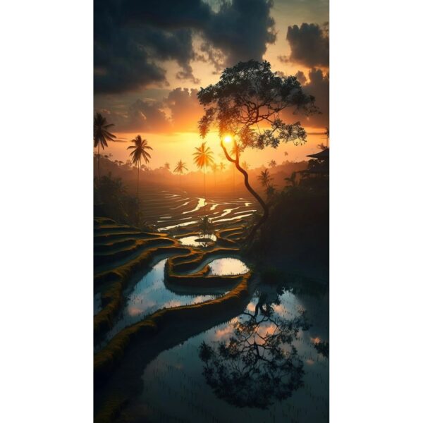 Erismann Digitaltapete Zooom Ricefields By Night 270 cm x 150 cm