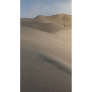 Erismann Digitaltapete Zooom Desert 270 cm x 150 cm