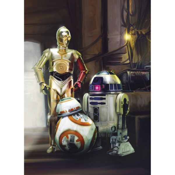 Komar Fototapete STAR WARS Three Droids 184 cm x 254 cm FSC®