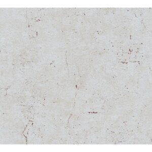 A.S. Creation Vliestapete Metropolitan Paul Bergmann Berlin Beton Grau-Beige