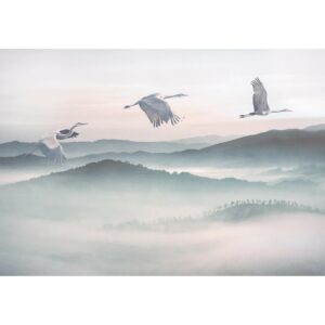 Komar Fototapete Vlies Mystic Cranes  400 x 280 cm