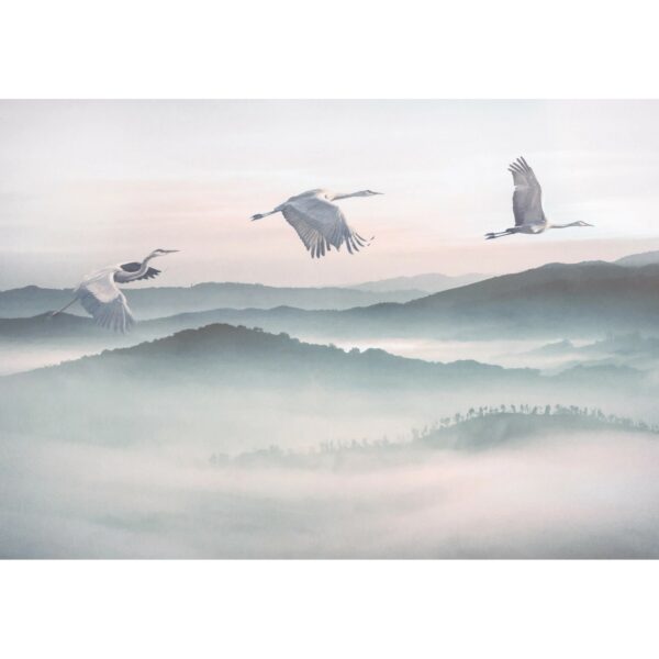 Komar Fototapete Vlies Mystic Cranes  400 x 280 cm