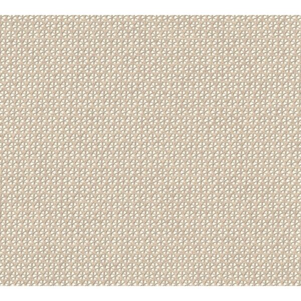 Vliestapete Muster Fein Organisch Matt Leicht Strukturiert Beige Creme FSC®