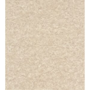 Rasch Vliestapete Composition 554335 Graphik Beige 10