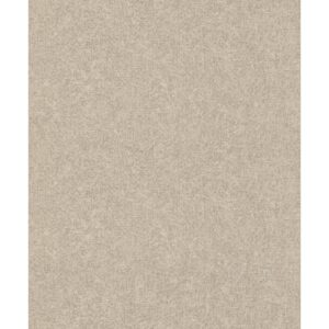 Rasch Vliestapete Composition 554496 Uni Taupe 10