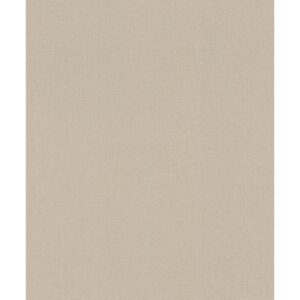 Rasch Vliestapete Barbara Home Coll. III 560077 Uni Beige 10