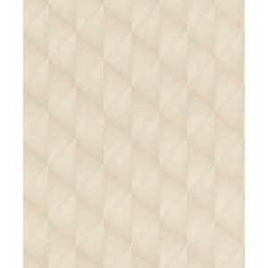 Rasch Vliestapete Tropical House 687927 Graphik Beige 10