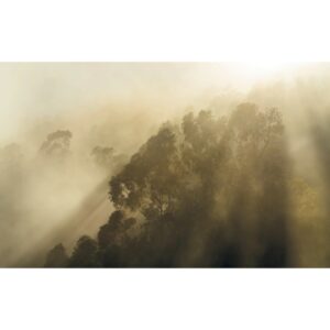 Komar Fototapete Vlies Misty Mountain  400 x 250 cm