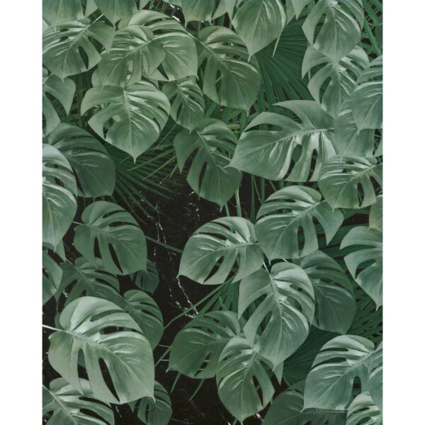 Komar Fototapete Vlies Monstera on Marble  200 x 250 cm