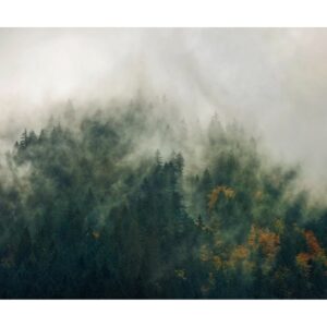 Komar Fototapete Vlies Tales of the Carpathians  300 x 250 cm