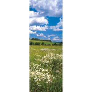 Komar Fototapete Vlies Meadow  100 x 280 cm