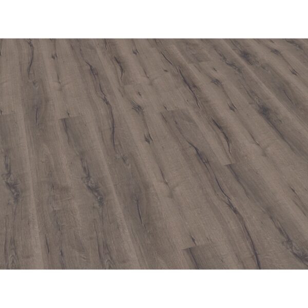 Laminatboden Excellent Eiche Ambience 8 mm