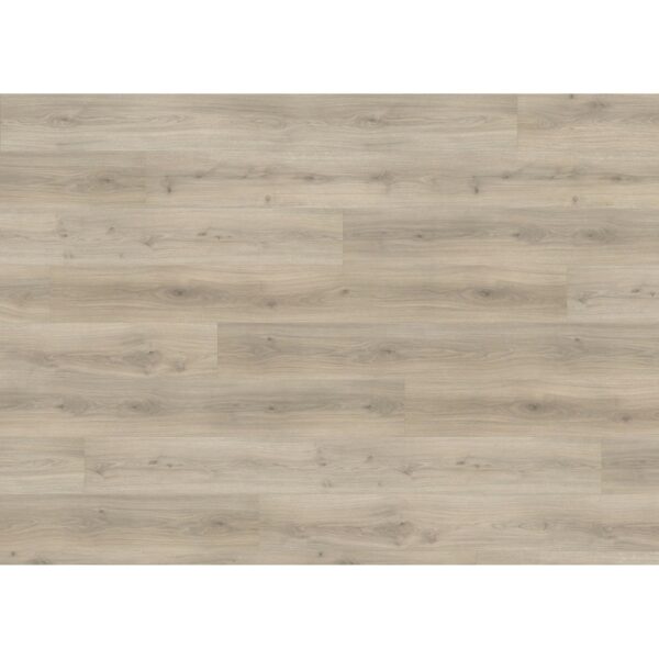 Living by Haro Laminatboden XL Eiche Laval Grau