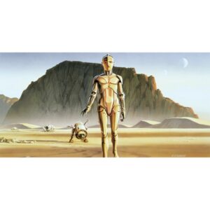 Komar Fototapete Vlies Star Wars Classic RMQ Droids  500 x 250 cm