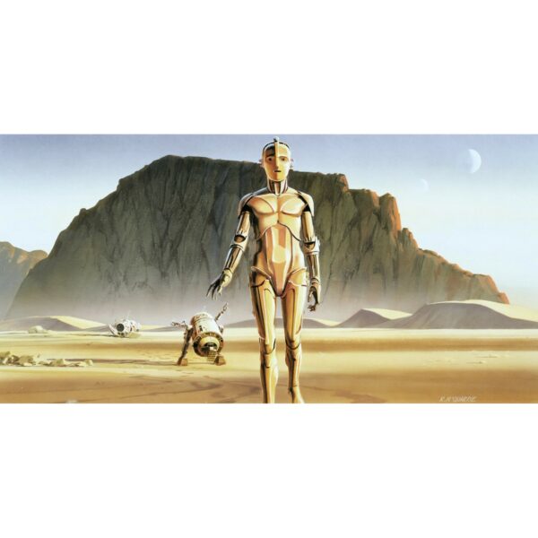 Komar Fototapete Vlies Star Wars Classic RMQ Droids  500 x 250 cm