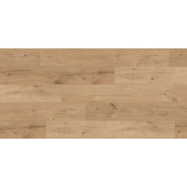 Laminatboden Excellent Eiche Ferrara Beachlin 8 mm