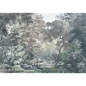 Komar Fototapete Vlies Fairytale Forest  400 x 280 cm