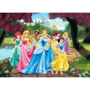 Disney Poster Prinzessinnen Rosa Gelb und Blau 160 x 110 cm 600655