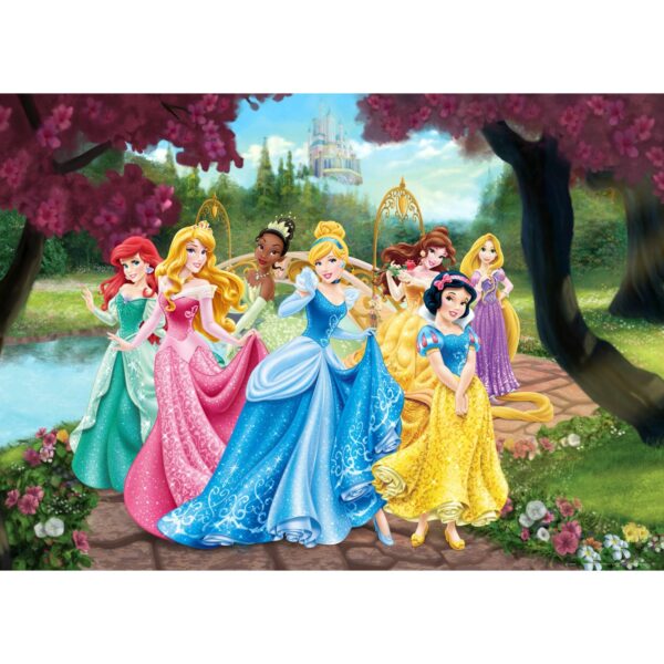 Disney Poster Prinzessinnen Rosa Gelb und Blau 160 x 110 cm 600655