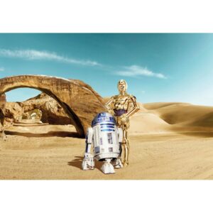 Disney Fototapete Star Wars Droids Beige und Blau 368 x 254 cm 612223