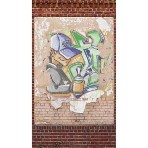 Bricoflor Graffiti Tapete Mit Mauer Motiv Ideal Für Jugendzimmer Und Kinderzimmer Urbane Fototapete In Steinoptik Bunt