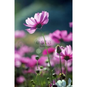 ESTAhome Fototapete Feldblumen Rosa 186 cm x 279 m 158005