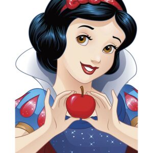 Disney Poster Schneewittchen Blau und Rot 40 x 50 cm 610138