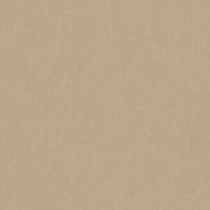 Tadessi Tapete Uni M1 No 2391 Vliestapete Beige Tapete Einfarbig Unitapete