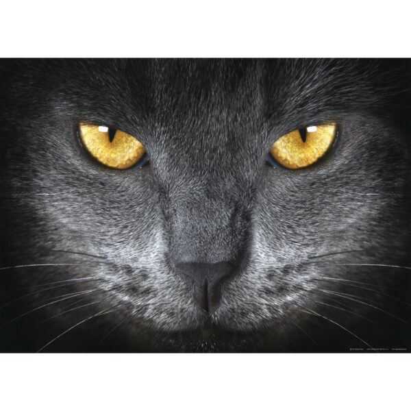 Sanders & Sanders Poster Katze Schwarz und Gelb 160 x 110 cm 600701