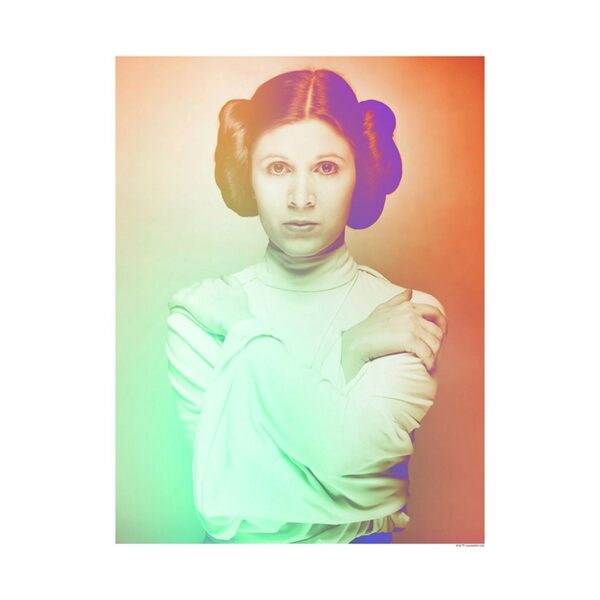 Disney Poster Star Wars Leia Orange und Grün 40 x 50 cm 611658