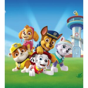 Sanders & Sanders Fototapete Paw Patrol Blau und Grün 180 x 202 cm 600628