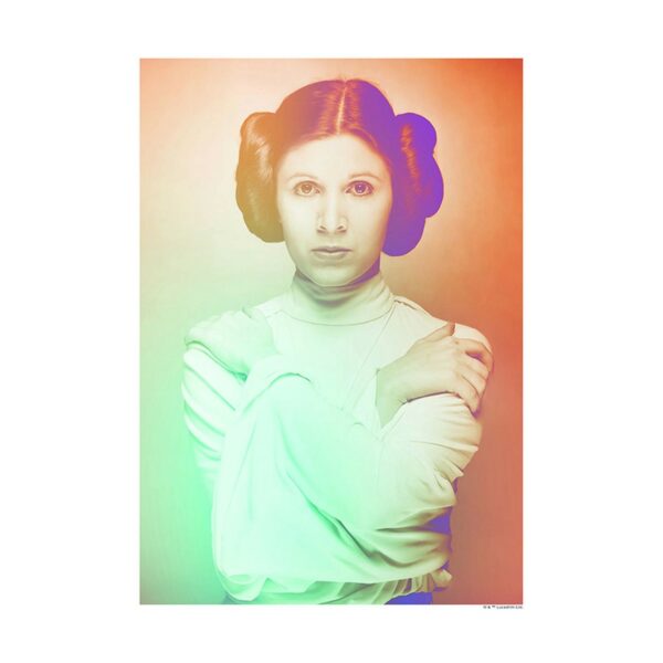 Disney Poster Star Wars Leia Orange und Grün 30 x 40 cm 611657