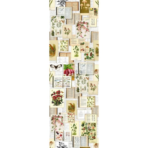 ESTAhome Fototapete Botanische Motive Beige Grün und Rosa 100 x 279 cm 158508