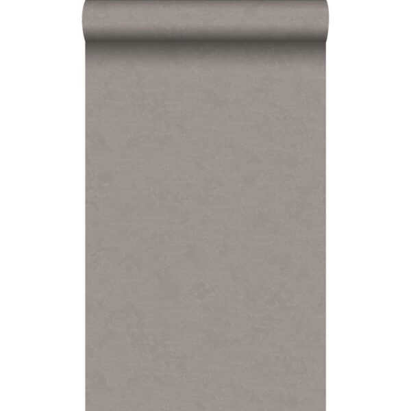 Origin Wallcoverings Tapete Uni Taupe und Bronze 53 cm x 10