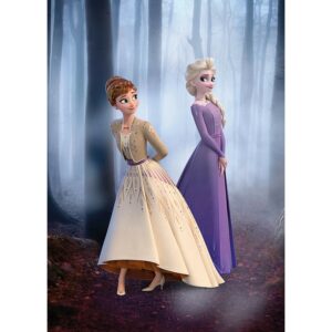 Disney Poster Die Eiskönigin Multicolor 50 x 70 cm 610142