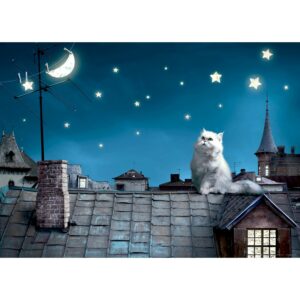 Sanders & Sanders Poster Katze Blau und Grau 160 x 110 cm 600685